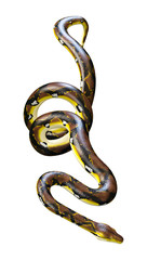 3D Rendering Reticulated Python on White