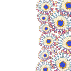 the osteospermum a tropical flower.  illustration