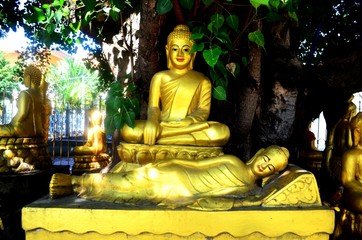 Golden Buddha statue in Cambodia.