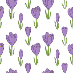 vector color crocus flower seamless pattern