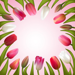 Tulips. Spring flowers. Bouquet. Vector illustration. Border.