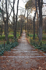 Obraz premium Retiro Park in winter, Madrid
