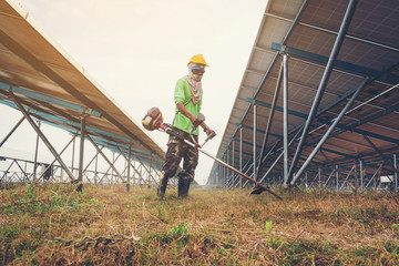 labor working on cleaning plant at solar power plant; operation team working on cleaning solar plant for good performance in service of operation plan