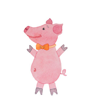 Happy piggy with bow-tie drawn watercolor on a white background