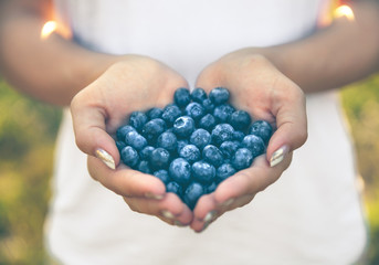 Blueberries in the hands of farmers, women's hands. Fruits, berries, food, nature