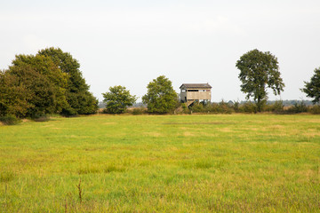 marsh landscape nature