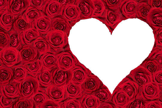 white heart surrounded by roses.  Raster illustration.