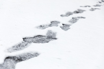foot prints in snow