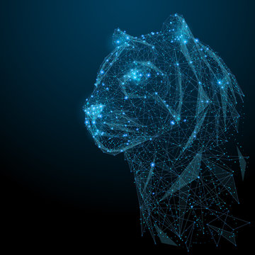 Abstract image of tiger in the form of a starry sky or space, consisting of points, lines, and shapes in the form of planets, stars and the universe. Vector head of animals. RGB Color mode