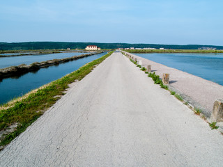 salt pans of Sicciole,Slovenia,Europe