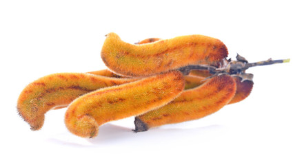 velvet bean isolated on white background