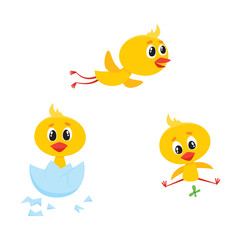 vector cartoon cute baby chicken characters set. Yellow small funny chicks flying, hatching from egg and playing with butterfly. Flat bird animal, isolated illustration on a white background.
