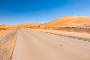 Fototapeta na wymiar Empty desert road.