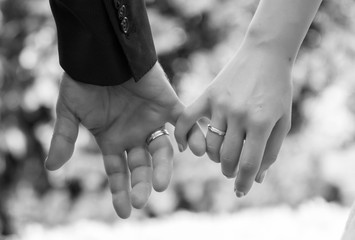 Hands of bride and groom with wedding rings - obrazy, fototapety, plakaty