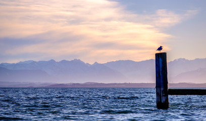 Fototapeta premium starnberg lake - bavaria