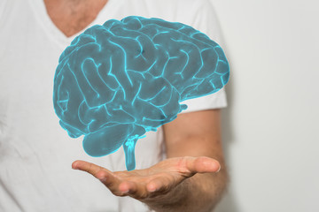 brain