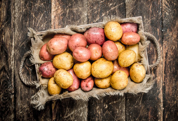Fresh potatoes on a wooden tray.
