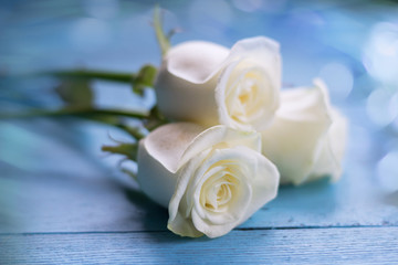 Obraz na płótnie Canvas White roses on blue wooden table.Valentine's day ,love ,romantic,wedding background