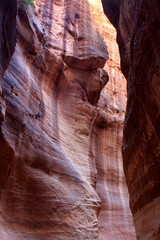 The walls of the Siq, narrow passage that leads to Petra, Jordan