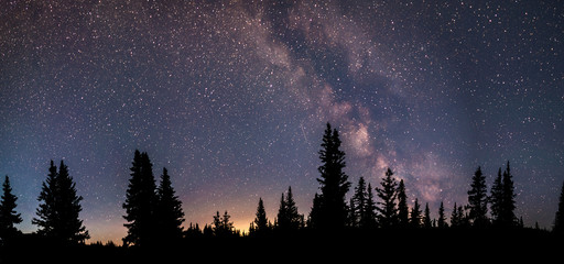 Milky Way Panorama. A silhouette of a forest in the wilderness. Light pollution can be seen in the distance. 