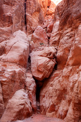 The walls of the Siq, narrow passage that leads to Petra, Jordan