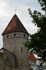 Obraz premium Old grey tower with red roof in the center Tallinn, Estonia