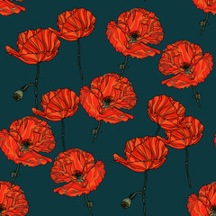 Seamless floral pattern with poppy flowers.