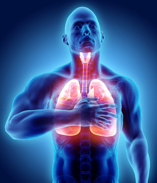 3d illustration of Lungs and chest painful, medical healthcare.