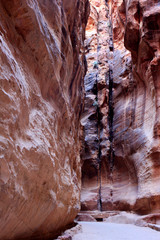 The walls of the Siq, narrow passage that leads to Petra, Jordan