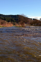 Hochwasser in der Dreisam im Winter