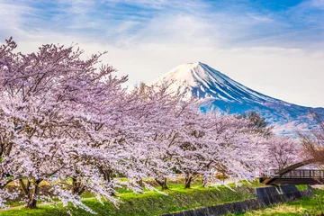 Cercles muraux Mont Fuji Mt. Fuji Japon au printemps