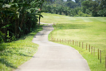 country road and run way of traveler to the nature in the mountain and the forest and green grass...