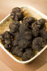 Trufas