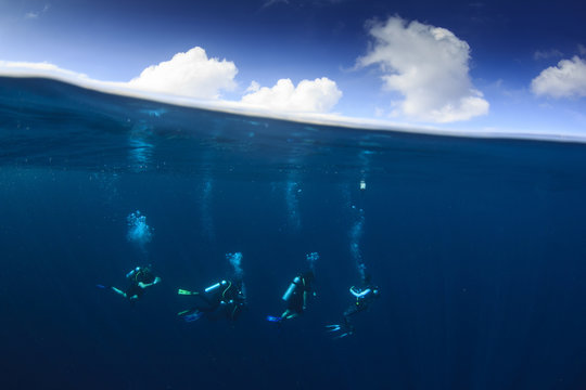 Scuba divers underwater half and half split over under photo