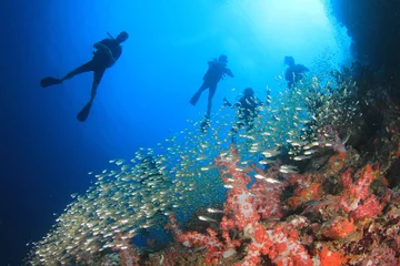 Papier Peint photo Lavable Plonger Plongée sous-marine récif de corail sous l& 39 eau