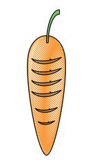 carrot vegetable icon image