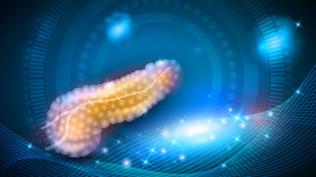 Pancreas anatomy illustration, health care on a glowing background