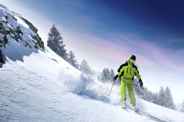 winter skier 