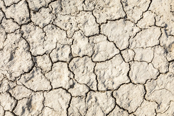 The texture of the ground with cracks. Dry cracked soil in hot summer day, close-up