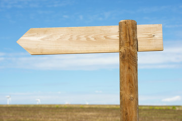 Directional signal view