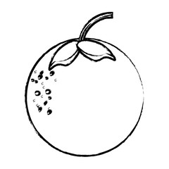 orange fruit icon image