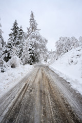 paesaggio invernale in Val Canali, nel parco naturale di Paneveggio - Trentino