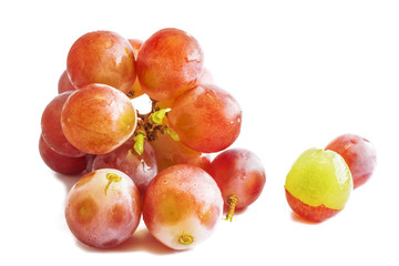 grapes with drop of water isolated on white background.