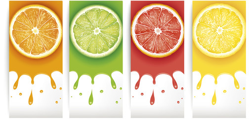 lime, lemon, orange, grapefruit juice with slices