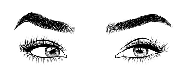 Hand-drawn woman's sexy luxurious eye with perfectly shaped eyebrows and full lashes. Idea for...