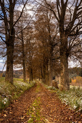 Feldweg