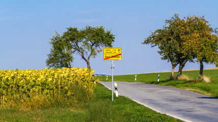 Landstraße nach Wehlen mit Sonnenblumen