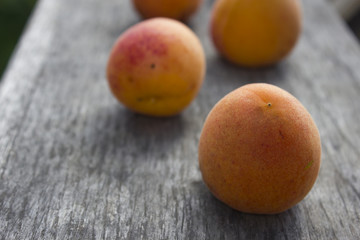 apricot