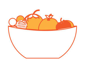 bowl with fruits icon