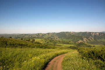 The dirt road leads to the mountains.